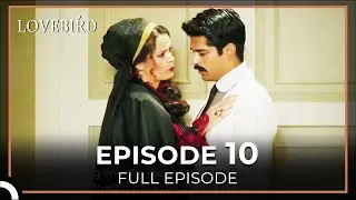 Lovebird Episode 10