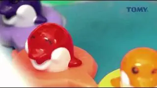 Музыкальные дельфины