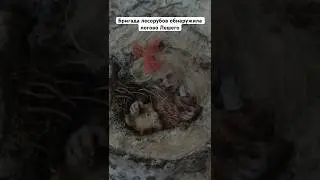 Бригада лесорубов обнаружила логово Лешего #кино #фильм #тизер #трейлер