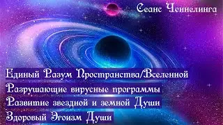 Единый разум вселенной: Что есть Здоровый Эгоизм Души и какая самая повреждающая вирусная программа