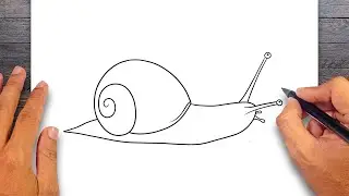 How to draw Snail - Mollusks Drawing