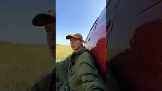 Матушка земля белая Берёзонька! Заготавливаю веники для бани #веник #лето2024 #заработок #издеревни