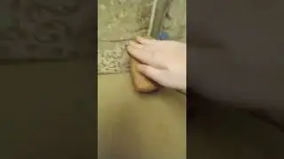 собака ав ав! аааааааааа