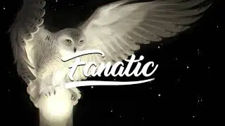 K.A.A.N. - Night Owl