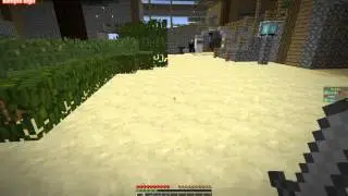 Golden Life обзор
