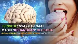 Teaser KFFA - Sensitifnya Otak Saat Masih 'Kecanduan' Glukosa; Sudah Ketosis Kok Otak Bisa Stress??