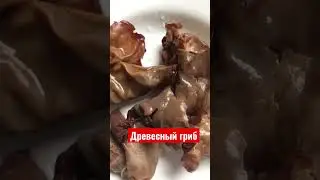 Древесный гриб