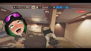 Quickpeeks and GN's
