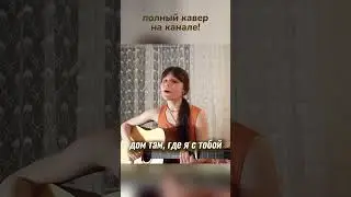 home | Edward Sharpe & The Magnetic Zeros (guitar cover) #guitarcover #кавер #гитара #home