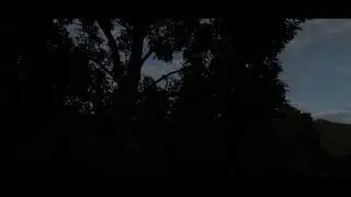 Morning: Canon PowerShot SX70 HS Cinematic Video