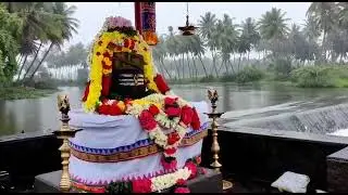 Nature WhatsApp status in Tamil ✨☘️🍀☘️🍀☘️🍃🍃🍃🌿🌿🌿🌲🌲🌲