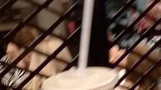 закупка на ночуху