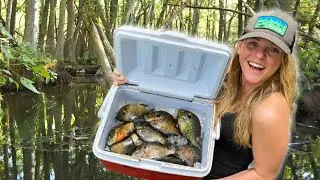 Fishing LOADED Bream Beds For Spawning BLUEGILL and RED-EAR Hybrids! Catch, Clean and Cook! (EPIC)