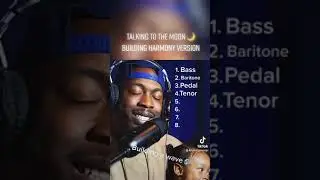 Talking To The Moon - Building Harmony Cover