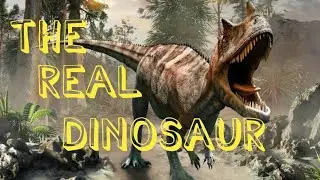 The Real Dinosaur in ISLAMABAD 🦕💃