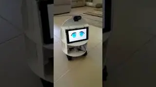 Voice command driven robot