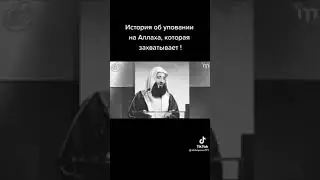 упование на Аллаха