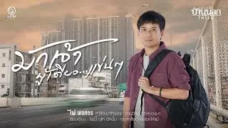 มักเจ้าผู้เดียวแข่นๆ - ไผ่ พงศธร【AUDIO VERSION】