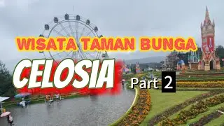 Wisata taman bunga CELOSIA SEMARANG