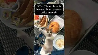 😱🤯OMG!! IT IS FINALLY HERE #memes #funny #coffee #food #blogger #vlog #money #travel #funny #memes