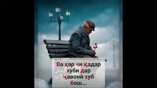 Инсони Хуб бош