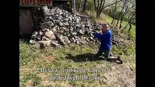 Nigel Marven sa snaží priblížiť k našej najväčšej jašterici.