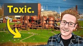 The Toxic Chemical Plant That’s Now a Picnic Site