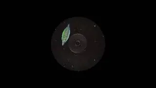 Overt - Dynamic