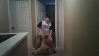 Dancing dog crime scene