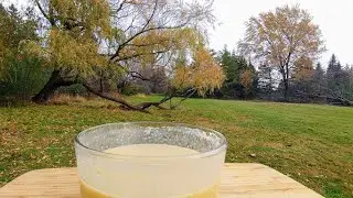 OUTSIDE PEA AND GARLIC SOUP FALL MUKBANG EATING SHOW