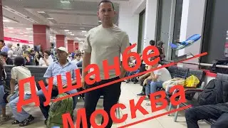 Душанбе Москва  перелёт сегодня  UMED TV