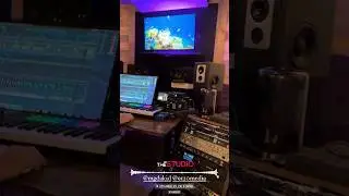 In the Music Studio 🎼🎹🎧 #youtubeshort #musicstudio #reelsvideo #producer #mg