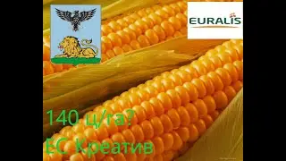 Евралис семена товарные посевы 2020 кукуза Сириус Креатив фарадей хабл супер