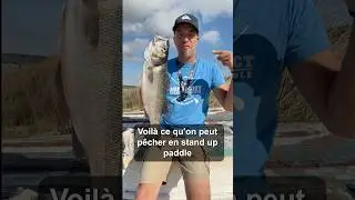 J'ai pêché un bar de 2 Kg en Paddle ! Merci le 