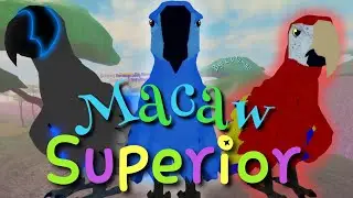 Macaw Army |Feather Family|