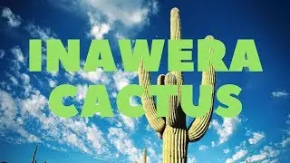 Самозамес и Миксология. Inawera Cactus - Полный обзор и рецепт.