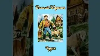 Василий Шукшин - Чудик
