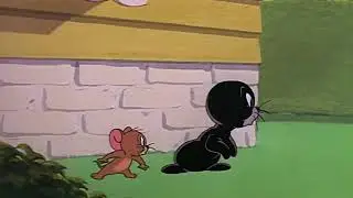 Tom and Jerry 2018 || том и джерри || Black Sea lion || Part 6