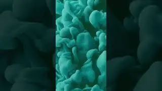 Green smoke