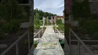 «Шаги июля» Нина Орлова авторское прочтение #актив #стихи #live #поэзия #эфир #любовь #природа
