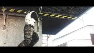 FIGHT | Mew2