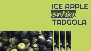 Natural food - ICE APPLE / THAALE HANNU / TADGOLA