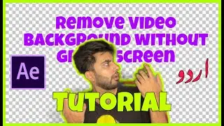Remove video Background | Rotroscoping | Urdu/ Hindi Tutorial