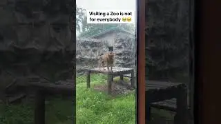 OMG! 😢