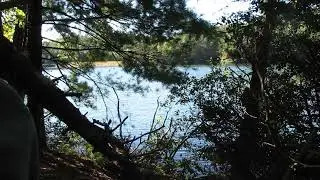 unicoi state park ga - lake unicoi - nature