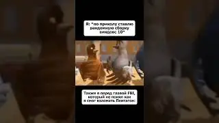 Мем #179 #shorts #мем #белка #стрелка #виндовс #рекомендации #шлемныймем #тикток #подпишись #юмор
