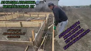 28 октября 2024 г.