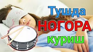 Тушда НОГОРА куриш туш таьбири