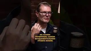 Распорядок дня, заложенный в нас природой