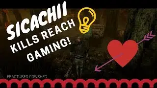 Drunk by Daylight with the Reach Gaming Crew!